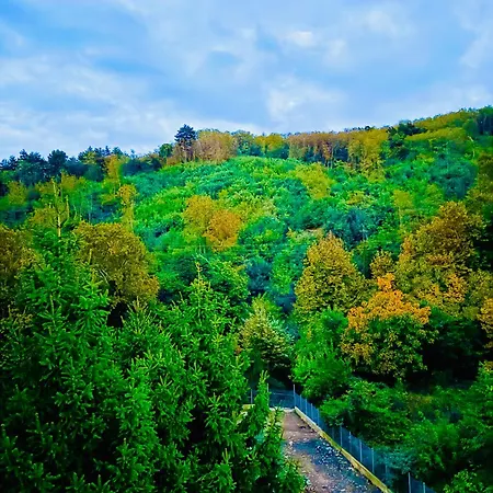 Konukevi комплекс ванката